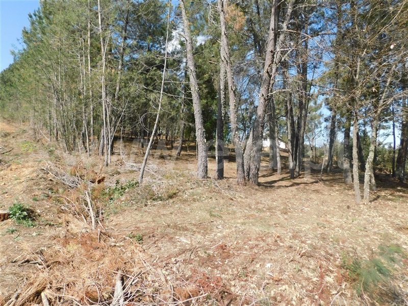 Terreno  Fundão, Souto da Casa - 1317720 - 3
