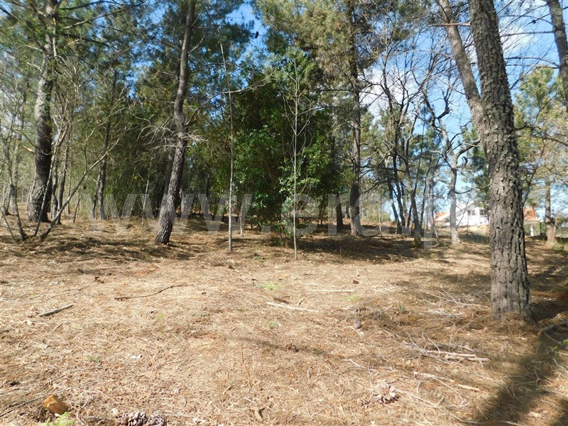 Terreno  Fundão, Souto da Casa - 1317720 - 4