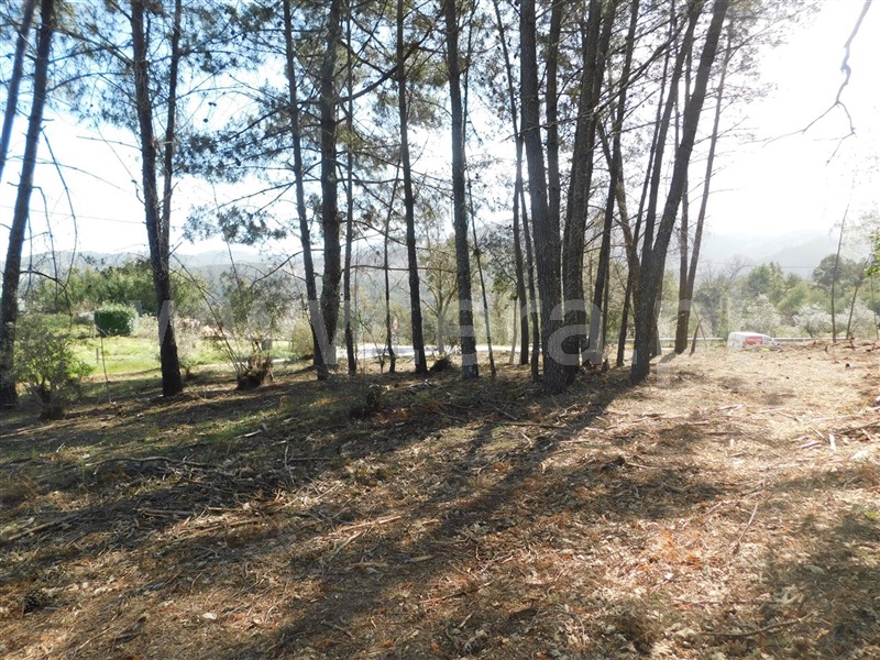 Terreno  Fundão, Souto da Casa - 1317720 - 6