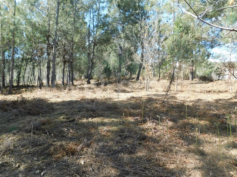 Terreno  Fundão, Souto da Casa - 1317720 - 7