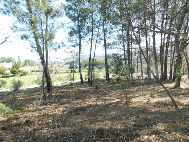 Terreno  Fundão, Souto da Casa - 1317720 - 9
