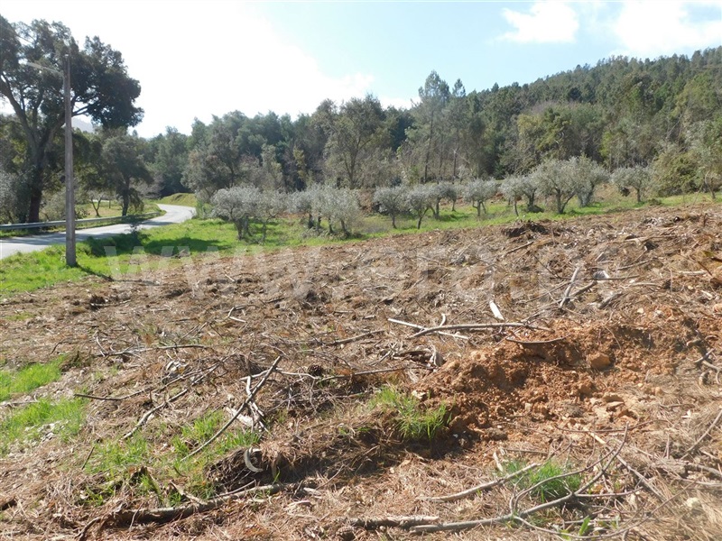 Terreno  Fundão, Souto da Casa - 1317720 - 11