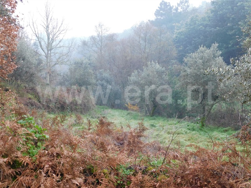Terreno  Fundão, Souto da Casa - 1375261 - 2