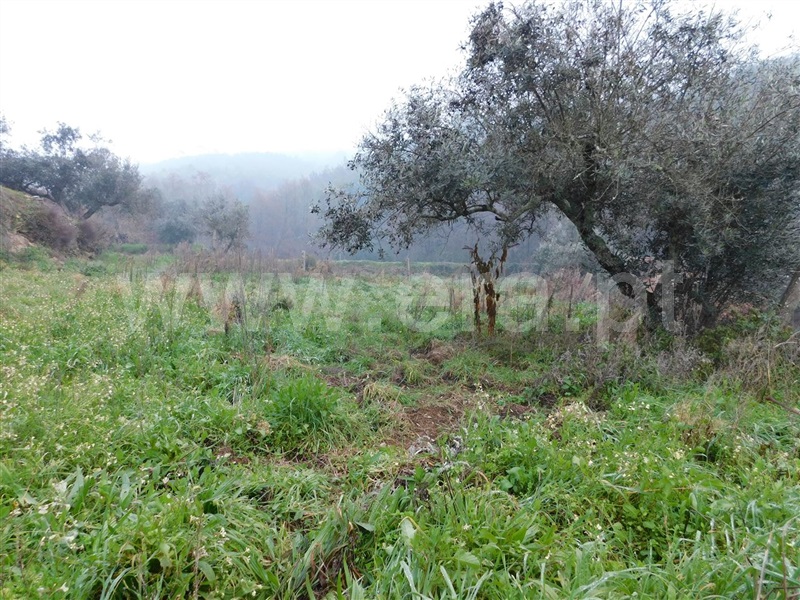Terreno  Fundão, Souto da Casa - 1375261 - 3