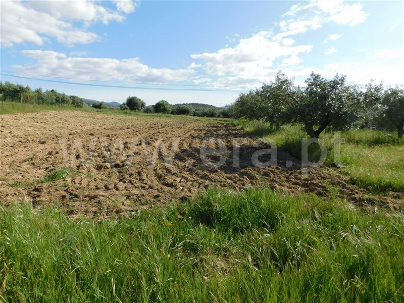 Terreno  Fundão, Telhado - 1087747 - 4