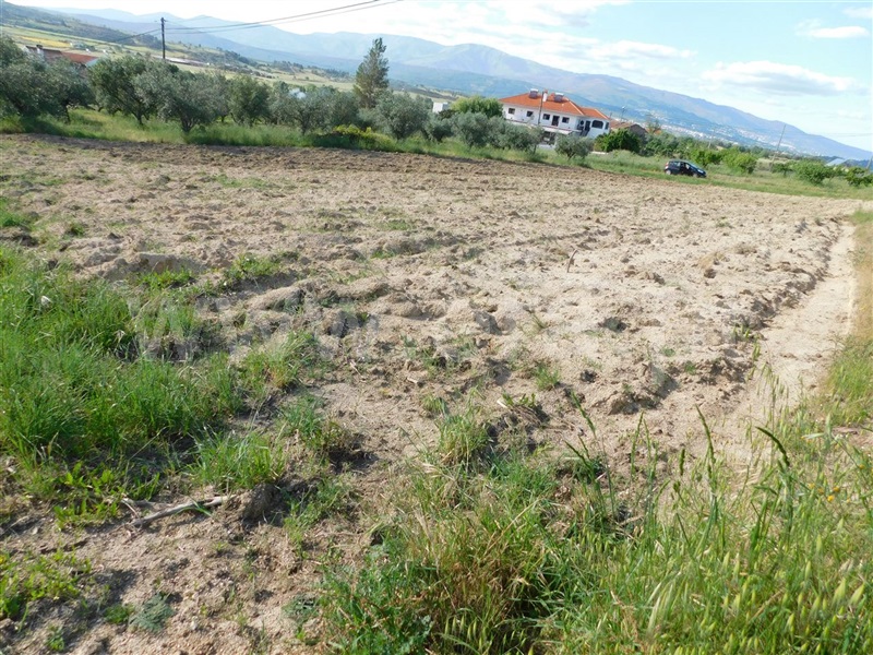 Terreno  Fundão, Telhado - 1087747 - 2