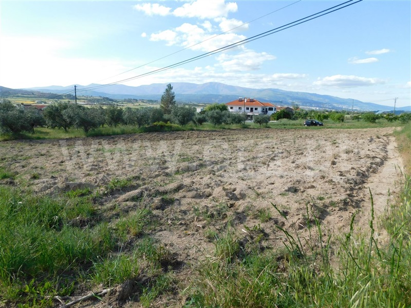 Terreno  Fundão, Telhado - 1087747 - 3