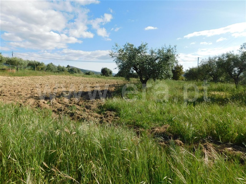 Terreno  Fundão, Telhado - 1087747 - 5