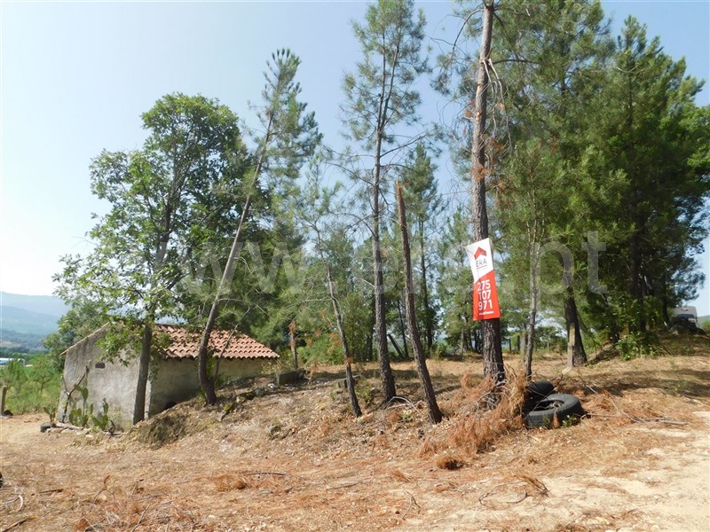Terreno  Fundão, Telhado - 1103172 - 3