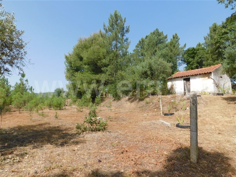 Terreno  Fundão, Telhado - 1103172 - 4