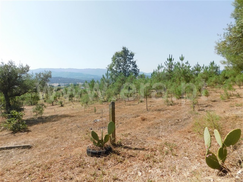 Terreno  Fundão, Telhado - 1103172 - 5