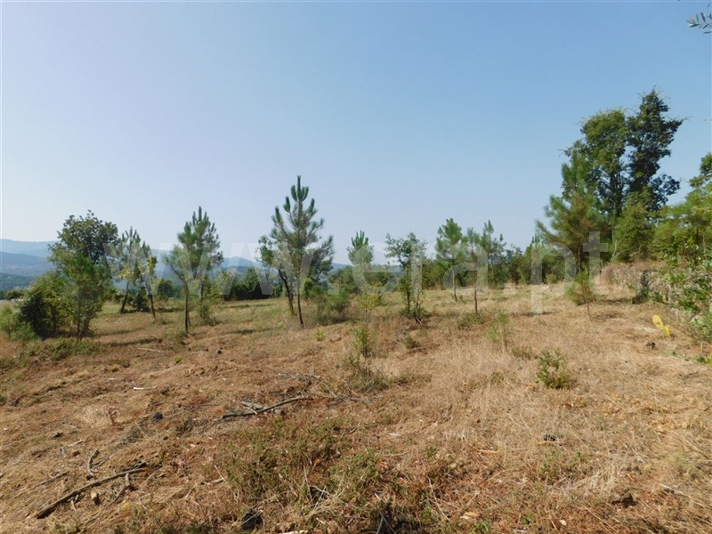 Terreno  Fundão, Telhado - 1103172 - 6
