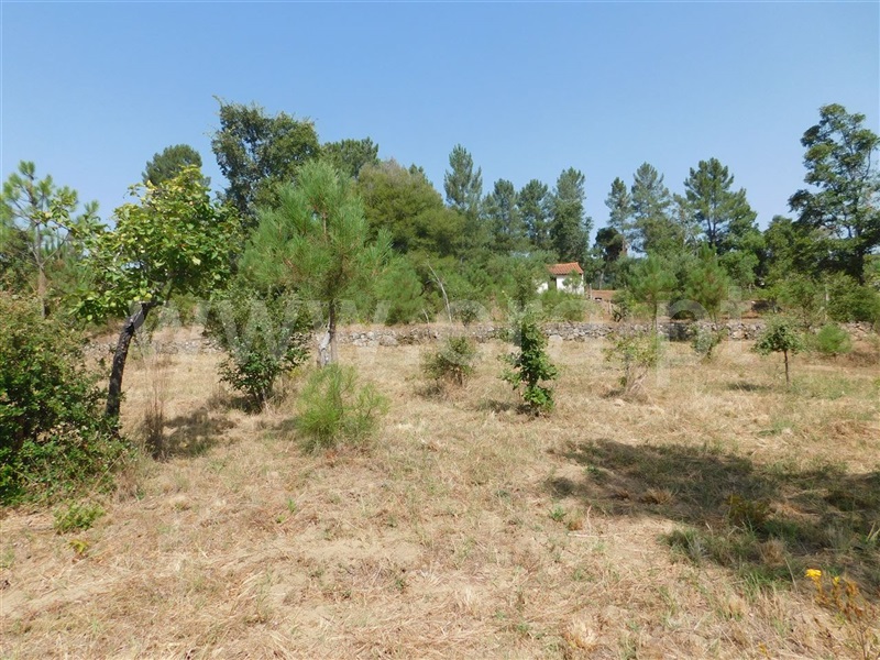 Terreno  Fundão, Telhado - 1103172 - 8
