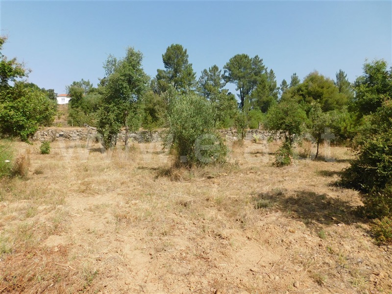 Terreno  Fundão, Telhado - 1103172 - 9