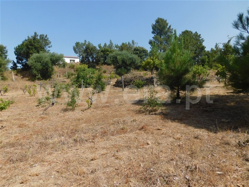 Terreno  Fundão, Telhado - 1103172 - 10