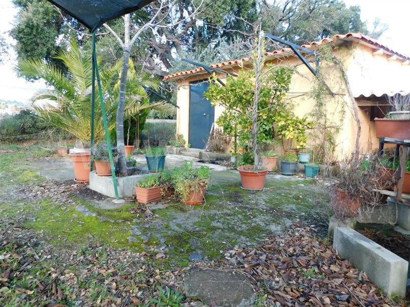 Terreno / Fundão, Telhado