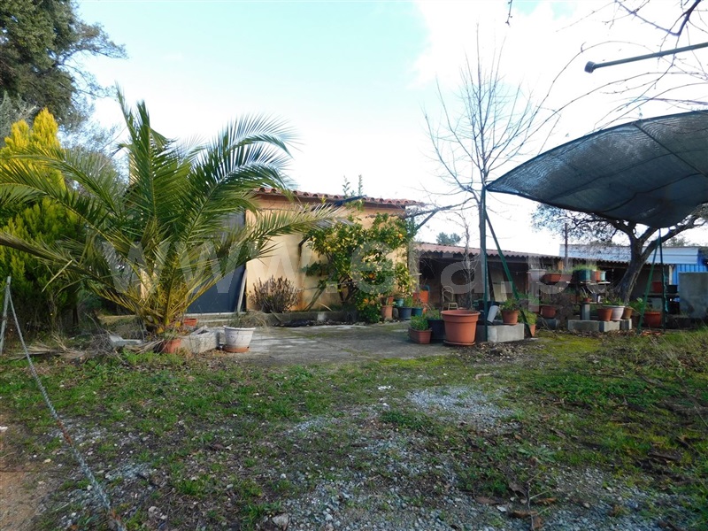 Terreno  com Agrícola Fundão, Telhado - 1219482 - 5