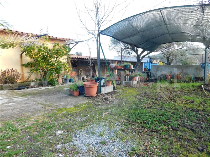 Terreno  com Agrícola Fundão, Telhado - 1219482 - 6
