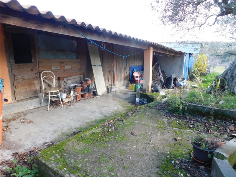 Terreno  com Agrícola Fundão, Telhado - 1219482 - 7