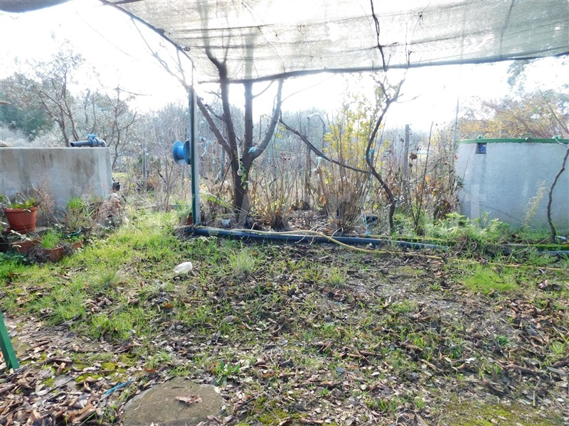 Terreno  com Agrícola Fundão, Telhado - 1219482 - 8