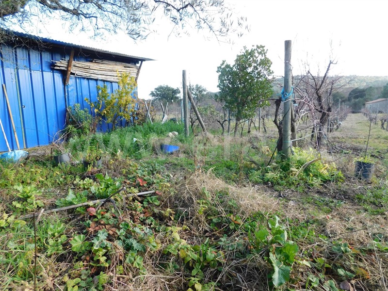 Terreno  com Agrícola Fundão, Telhado - 1219482 - 11
