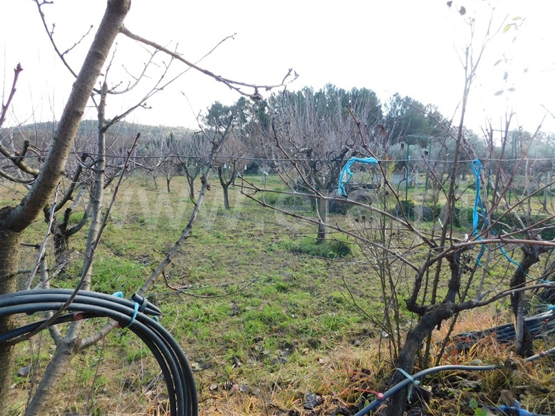Terreno  com Agrícola Fundão, Telhado - 1219482 - 17