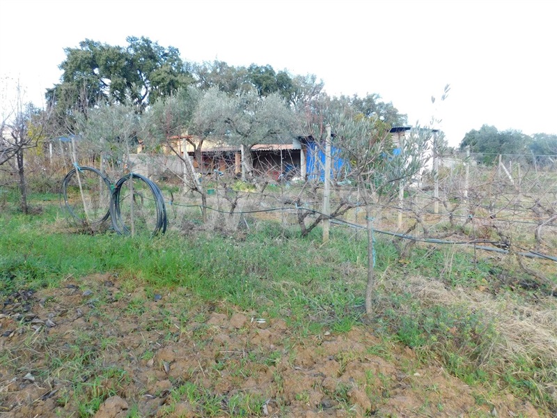 Terreno  com Agrícola Fundão, Telhado - 1219482 - 18