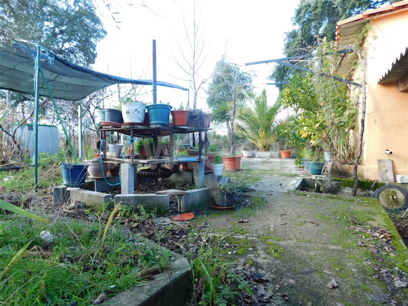 Terreno  com Agrícola Fundão, Telhado - 1219482 - 21