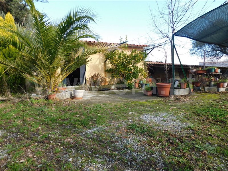 Terreno  com Agrícola Fundão, Telhado - 1219482 - 22