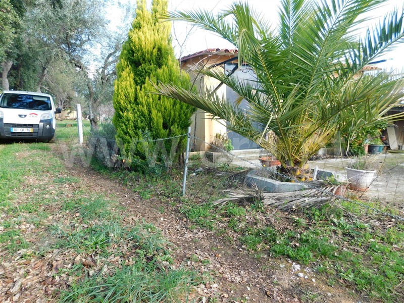 Terreno  com Agrícola Fundão, Telhado - 1219482 - 23