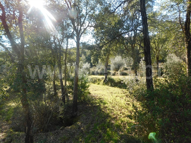 Terreno / Fundão, Telhado