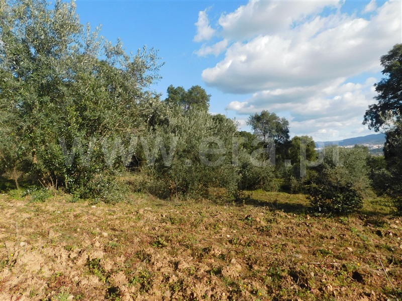 Terreno  Fundão, Telhado - 1304519 - 5
