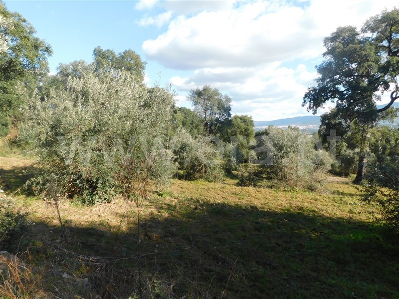 Terreno  Fundão, Telhado - 1304519 - 6