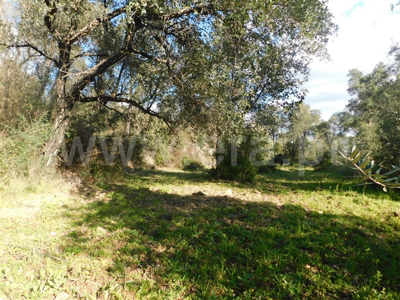 Terreno  Fundão, Telhado - 1304519 - 7