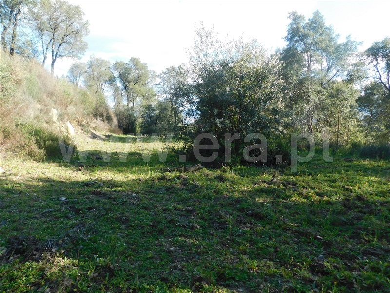 Terreno  Fundão, Telhado - 1304519 - 10