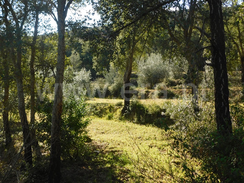 Terreno  Fundão, Telhado - 1304519 - 11