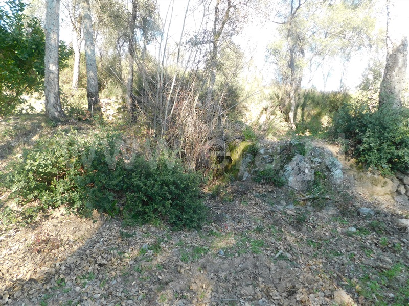 Terreno  Fundão, Telhado - 1304519 - 17
