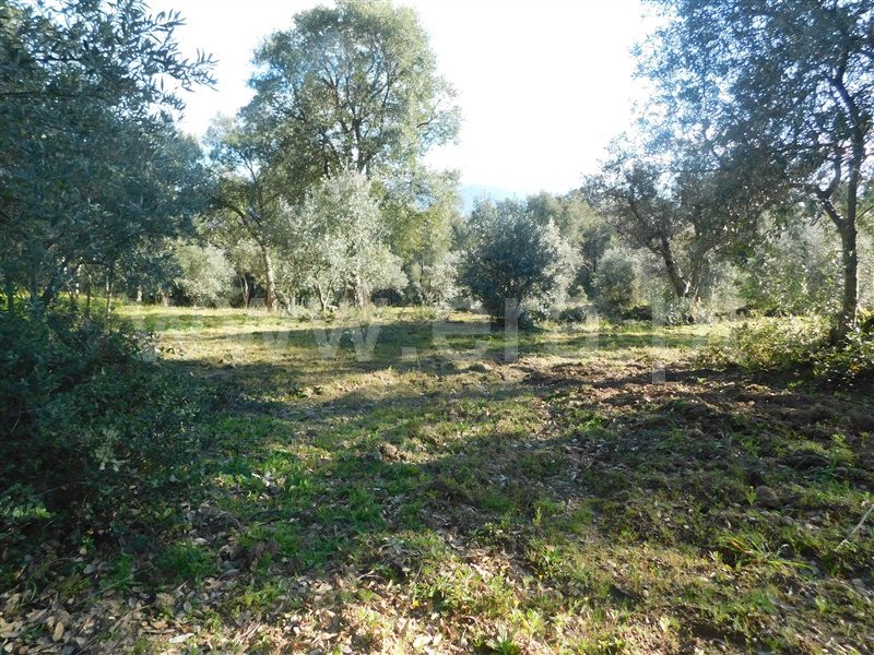 Terreno  Fundão, Telhado - 1304519 - 19