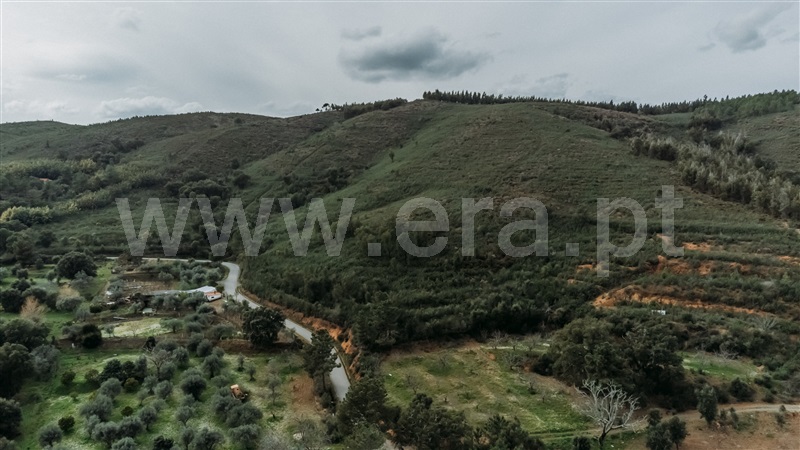 Terreno  Fundão, Telhado - 1387292 - 6