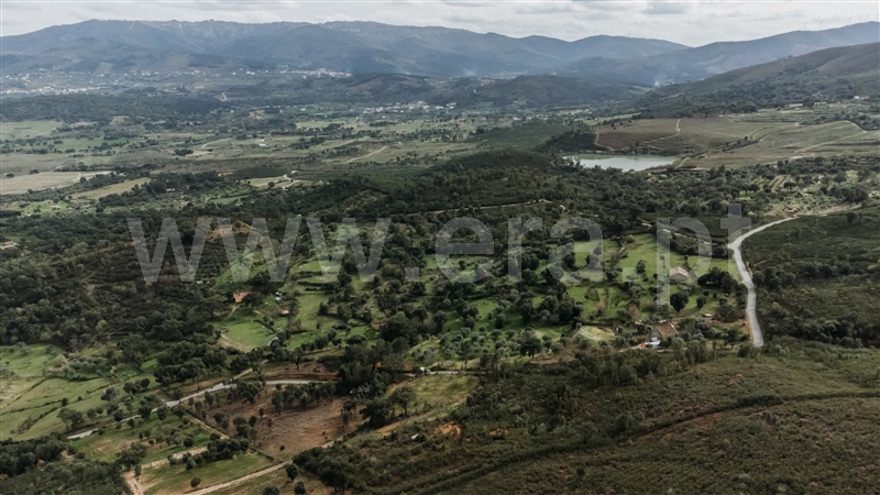 Terreno  Fundão, Telhado - 1387292 - 8