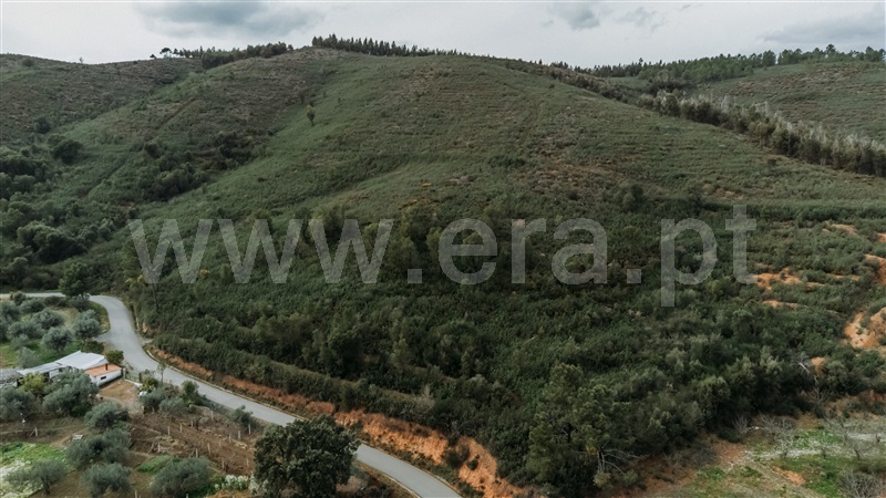 Terreno / Fundão, Telhado