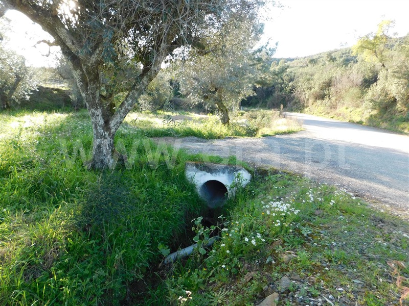 Terreno  Fundão, Telhado - 1387298 - 2