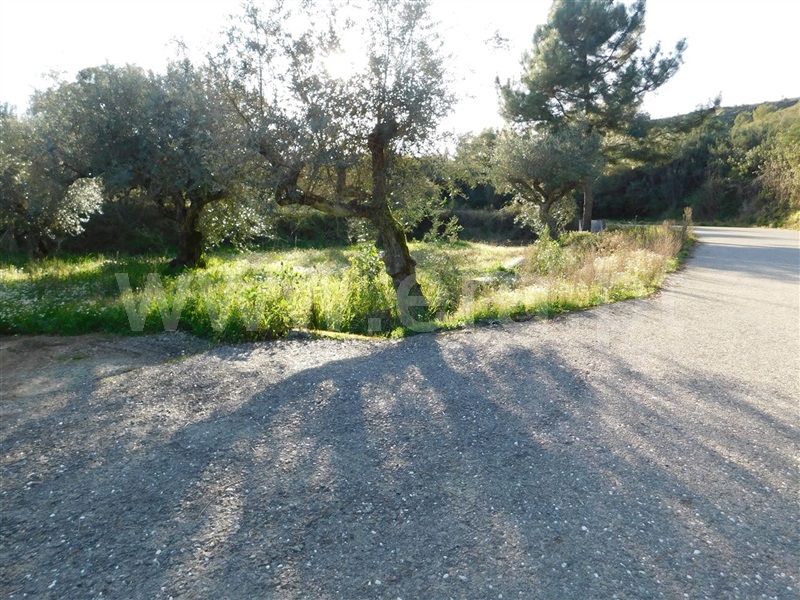 Terreno  Fundão, Telhado - 1387298 - 4