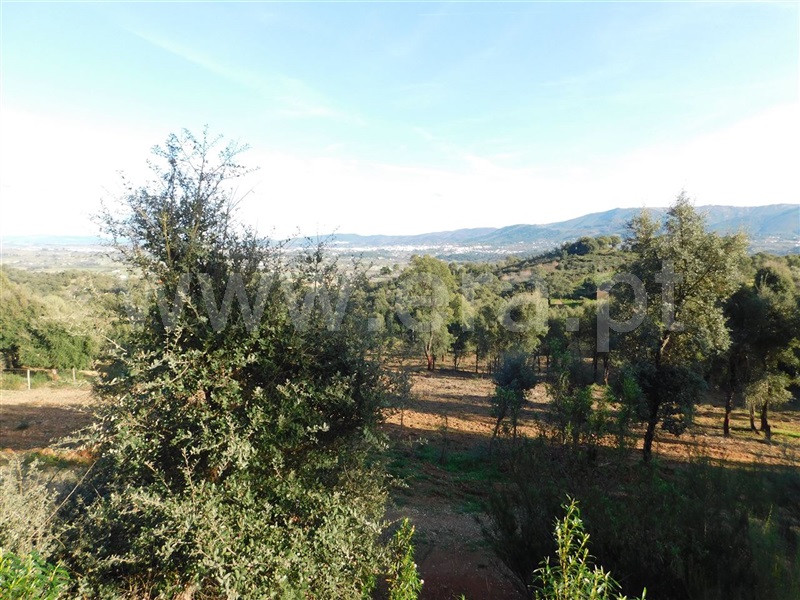 Terreno  Fundão, Telhado - 1387299 - 10