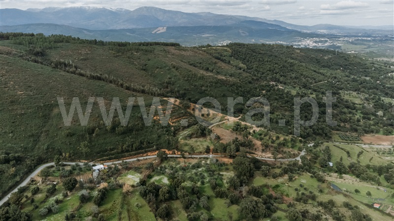 Terreno  Fundão, Telhado - 1387299 - 19