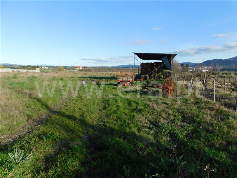 Terreno  Fundão, Telhado - 1387302 - 1