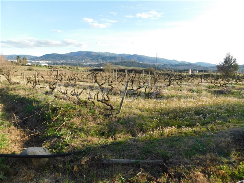 Terreno  Fundão, Telhado - 1387302 - 2