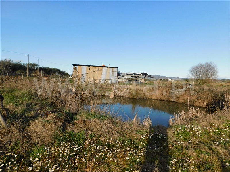 Terreno  Fundão, Telhado - 1387302 - 3