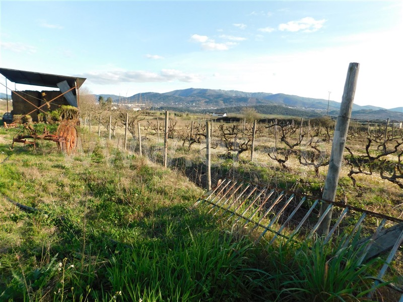 Terreno  Fundão, Telhado - 1387302 - 5