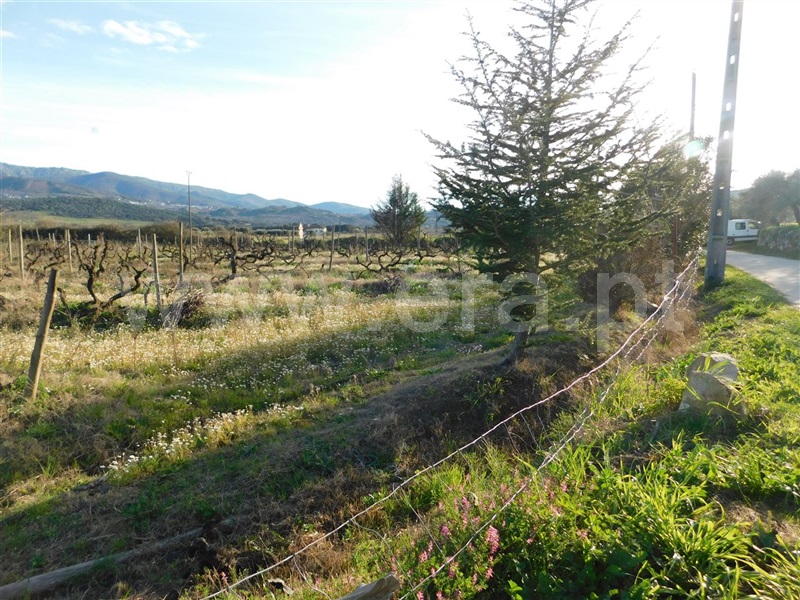 Terreno  Fundão, Telhado - 1387302 - 6